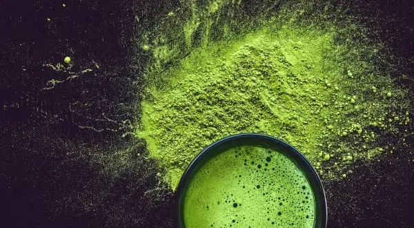Matcha czy yerba: co wybrać dla lepszej energii i koncentracji?