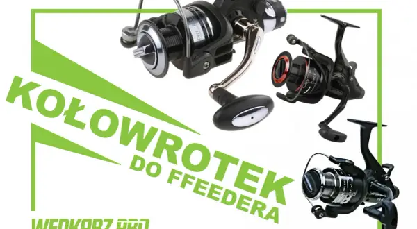 Trzy kołowrotki wędkarskie, idealne do feedera. Wybierz najlepszy kołowrotek do feedera dla siebie.