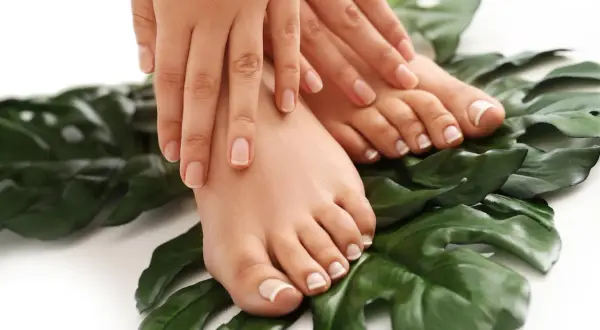 Dłonie i stopy z perfekcyjnym pedicure french na tle zielonych liści.