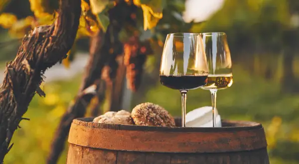Zwei Gläser Wein, rot und weiß, stehen auf einem Holzfass neben Brot und Käse im Weinberg. Ein perfekter Regent Wein Moment.
