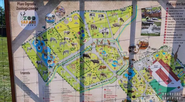 Mapa zoo Borysew z trasą spaceru. Zobacz zwierzęta, figlarnię i edukację plenerową.