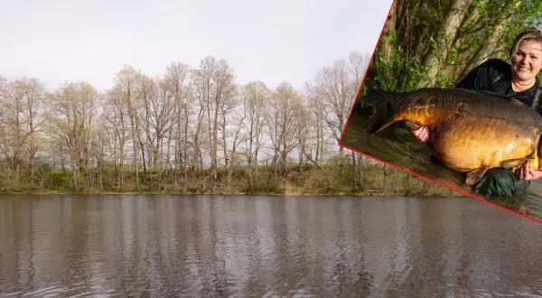 Kobieta trzyma ogromnego karpia, który może być rekord świata karp 100 kg.