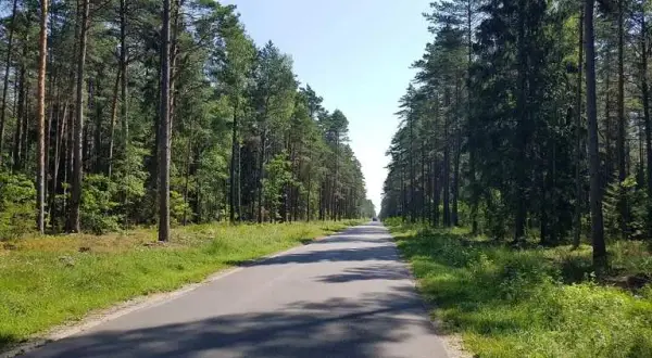 Wielbark atrakcje: odkryj niezapomniane miejsca i aktywności
