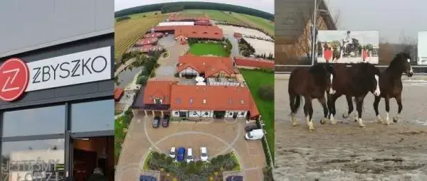 Stadnina Zbyszko: Kontrowersje, historia i oferta dla miłośników koni