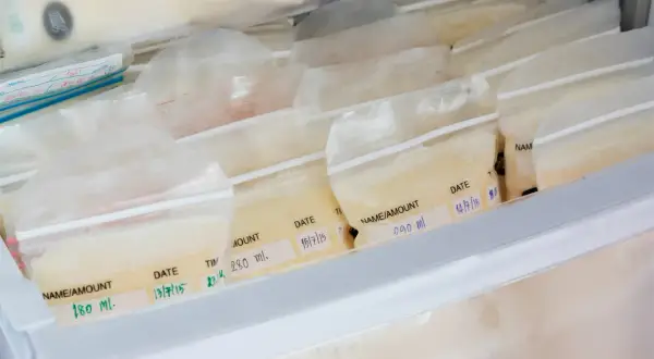 Wiele woreczków z odciągniętym mlekiem, oznaczonych datą i ilością, ułożonych w zamrażarce. To praktyczny sposób na to, jak przechowywać odciągnięte mleko.
