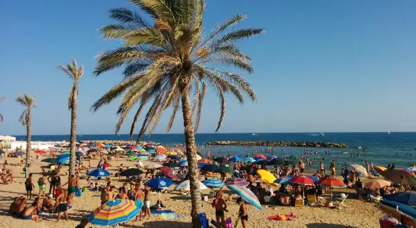 Spiagge Marina di Ragusa affollate di bagnanti sotto palme e ombrelloni colorati, con il mare azzurro sullo sfondo.