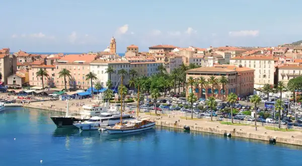 Port w Ajaccio, stolicy Korsyki, z jachtami i palmami.