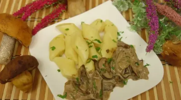 Jaka surówka do sosu grzybowego? Odkryj idealne połączenia!