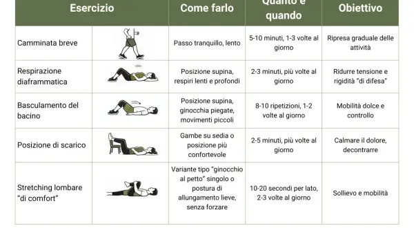 Tabella con esercizi per la fisioterapia schiena: camminata, respirazione, basculamento bacino, posizione di scarico e stretching.