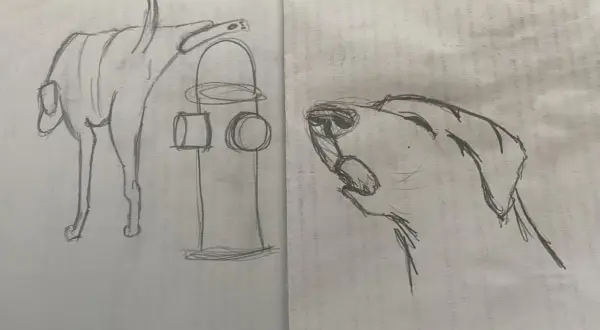 Bocetos de perros y un hidrante, perfectos como dibujos de animales para dibujar.