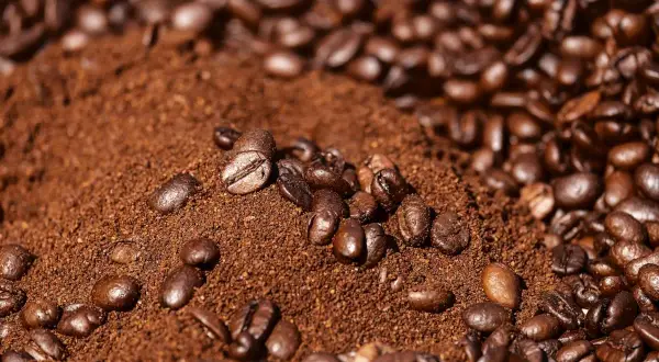 Montón de café molido con granos enteros esparcidos. Parece que el café se pone malo, perdiendo su frescura.