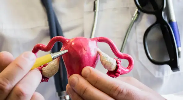 Jakie endometrium w owulacji? Klucz do udanej implantacji