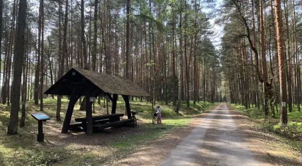 Wiatka i rower czekają na Ciebie na trasach rowerowych w Lasach Janowskich. Czas na przygodę!