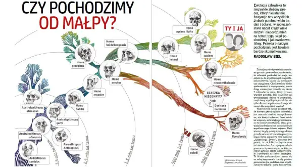 Skąd pochodzi? Odkryj fascynujące tajemnice pochodzenia ludzi i kultur