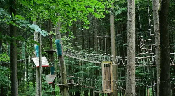 Park linowy w lesie z mostkami, drabinkami i platformami między drzewami.