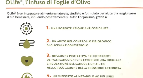 OLife, infuso di foglie d'ulivo, sfrutta le proprietà naturali per benessere: antiossidante, controllo glicemia/colesterolo, circolazione e metabolismo.