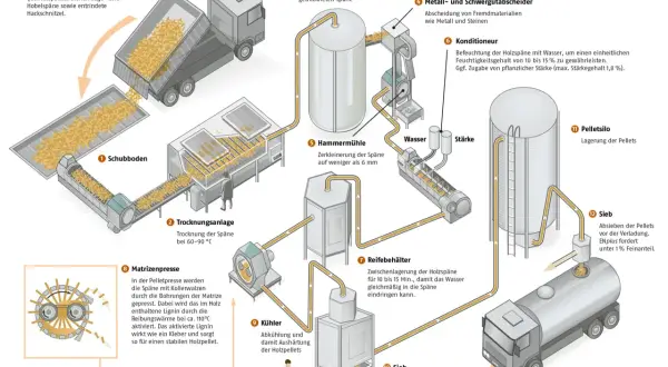 So werden Pellets hergestellt: Rohmaterial wird getrocknet, zerkleinert, konditioniert und dann in der Matrizenpresse zu Pellets geformt. Nach Kühlung und Siebung erfolgt die Lagerung im Pelletsilo.