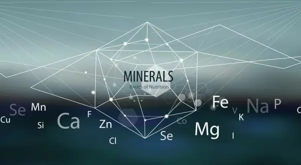 Grafika przedstawia schematyczne połączenia między symbolami pierwiastków chemicznych, takich jak Fe, Na, Mg, Ca, Se, Mn, Cu, Zn, Cl, F, S, K, P, Cr, Co, I. W centrum znajduje się napis "MINERALS Basics of Nutrition". Obraz podkreśla znaczenie mikroele...