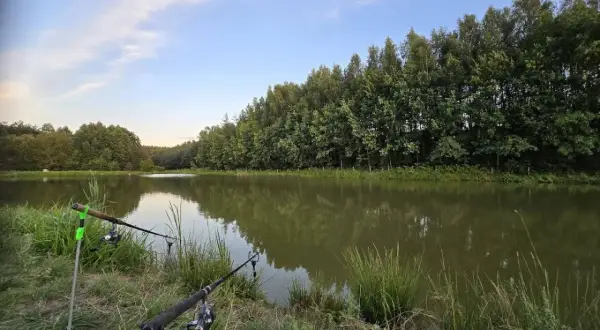 Dwa wędki ustawione nad spokojnym jeziorem otoczonym drzewami.