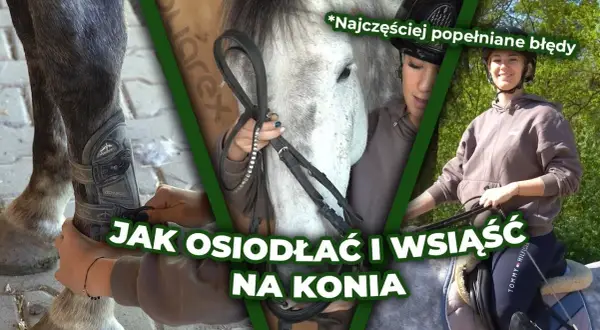 Jak wsiąść na konia: proste kroki, które zapewnią bezpieczeństwo