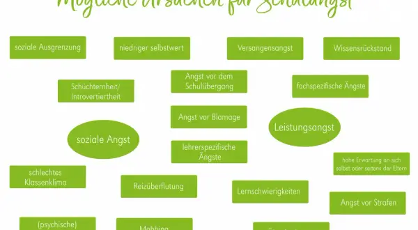 Ursachen für Schulangst: soziale Ausgrenzung, geringer Selbstwert, Versagensangst, Wissensrückstand, Angst vor dem Schulübergang, fachspezifische Ängste, Leistungsangst, schlechtes Klassenklima, Angst vor Blamage, lehrerspezifische Ängste, Reizüberflut...