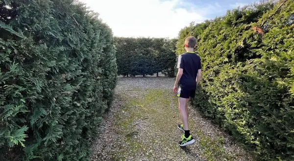 Un niño se adentra en un laberinto de setos verdes, buscando el camino en este laberinto costa mariña.