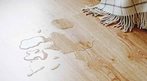 Ein Hund markiert in fremder Wohnung. Wasserflecken auf hellem Holzboden, daneben eine Decke.