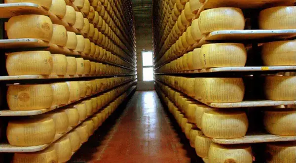 Skąd pochodzi ser parmezan? Odkryj jego fascynującą historię i regiony produkcji