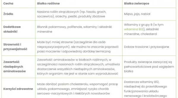 Białko roślinne czy zwierzęce? Pełne porównanie dla Twojej diety