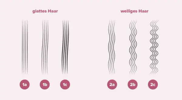 Vergleich von glattem und welligem Haar zur haardicke bestimmen. Verschiedene Abstufungen von 1a bis 2c.
