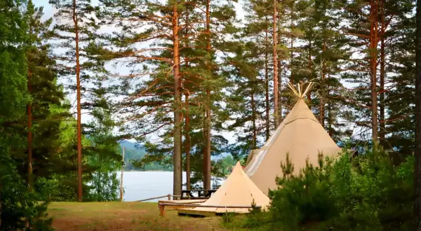 Två tält står uppställda vid en sjö, omgivna av höga tallar. En perfekt plats för naturcamping lagom.