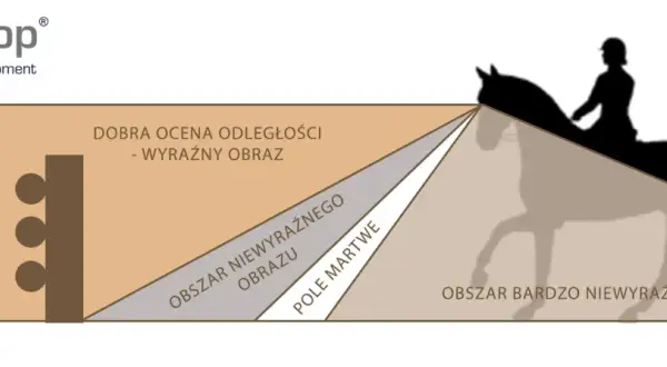 Ilustracja pokazuje, jak widzi koń: obszar dobrej oceny odległości z wyraźnym obrazem, obszar niewyraźnego obrazu, pole martwe i obszar bardzo niewyraźnego obrazu.