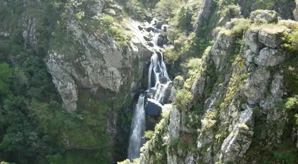 La impresionante fervenza do Toxa cae en cascada por un barranco rocoso, rodeada de exuberante vegetación verde y rocas cubiertas de musgo.