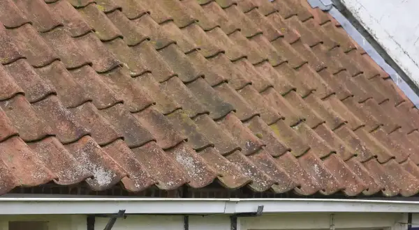 Tegole rosse consumate dal tempo, con muschio e licheni, suggeriscono la necessità di come sistemare un vecchio tetto per proteggere la casa.