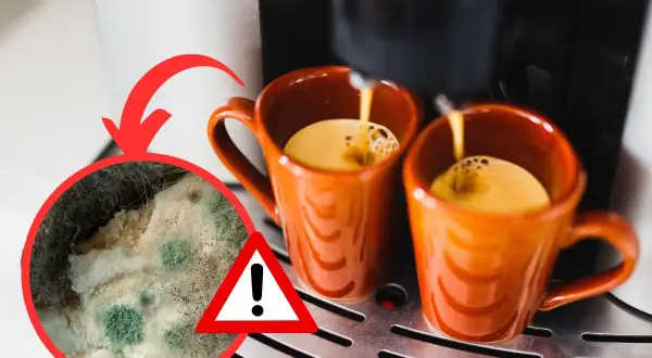 Attenzione alla muffa nella moka! Un'immagine mostra caffè che cola in tazze arancioni, con un ingrandimento di muffa verde e bianca.
