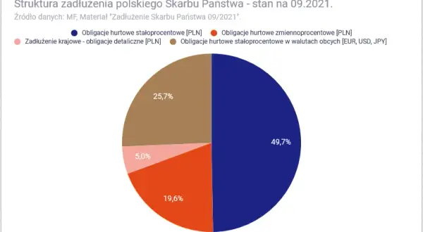 Polski dług publiczny: Kto naprawdę pożycza państwu pieniądze?