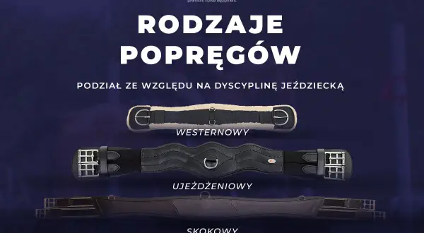 Trzy rodzaje popręgów dla konia: westernowy, ujeżdżeniowy i skokowy. Każdy popręg dopasowany do dyscypliny jeździeckiej.