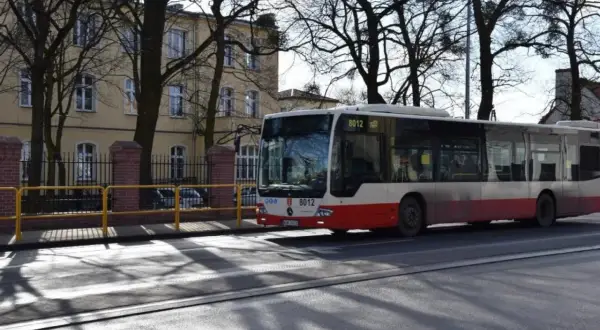 Autobus linii 107 w Pruszczu Gdańskim zbliża się do przejścia dla pieszych.