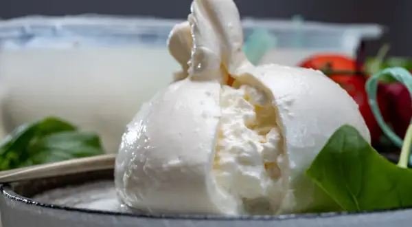 Frische Burrata, ein italienischer Frischkäse, mit cremigem Kern. Was ist Burrata? Ein Genuss!