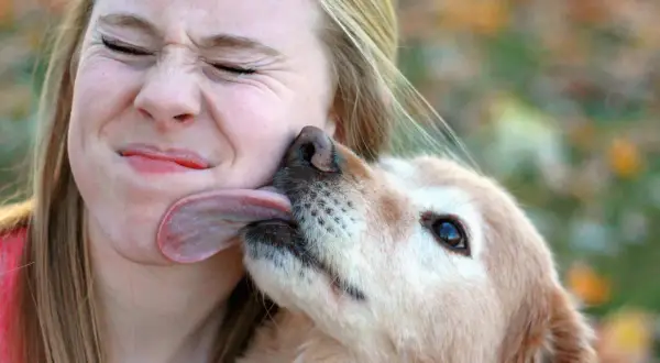 Por qué me lame mi perro: razones detrás de este comportamiento inquietante