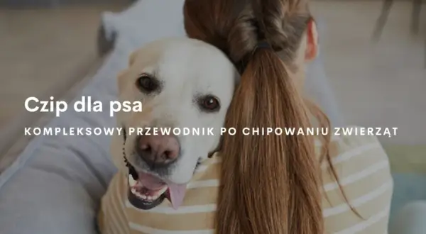 Jak działa chip dla psa? Kluczowe informacje o mikrochipach i ich zaletach
