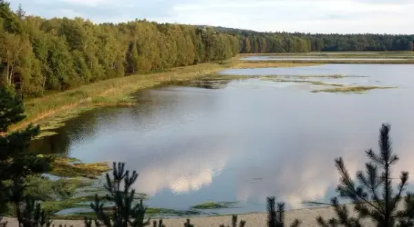 Chrzypsko Wielkie atrakcje - odkryj ukryte skarby tej miejscowości