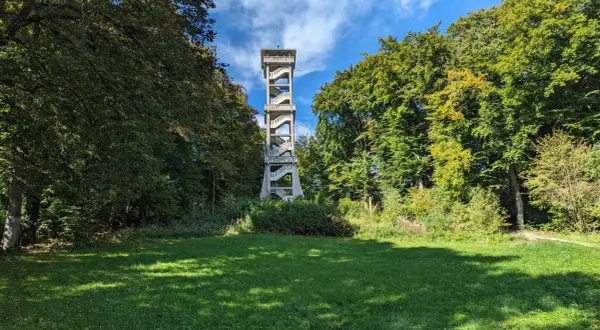 Der Aussichtsturm Ebersberg ragt zwischen grünen Bäumen empor. Eine Außentreppe schlängelt sich nach oben, um eine tolle Aussicht zu ermöglichen.