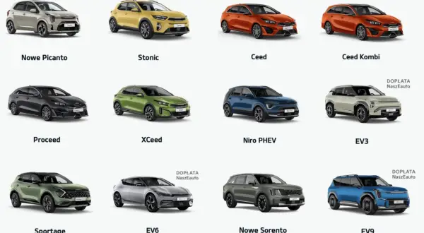Różnorodne segmenty samochodów: od miejskich Picanto i Stonic, przez rodzinne Ceed Kombi, po elektryczne EV3, EV6 i EV9.