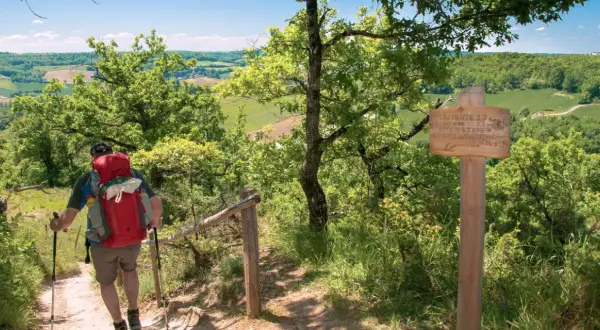 Randonnées Tarn et Garonne : un marcheur avec un sac à dos rouge monte un sentier boisé, dominant un paysage verdoyant. Panneau indicateur de Lauzerte.