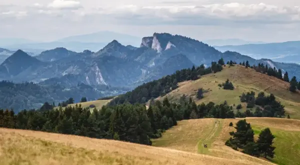 Malowniczy krajobraz górski, idealny na trasę Szczawnica. W oddali widać skaliste szczyty, a na pierwszym planie zielone wzgórza i ścieżkę dla turystów.