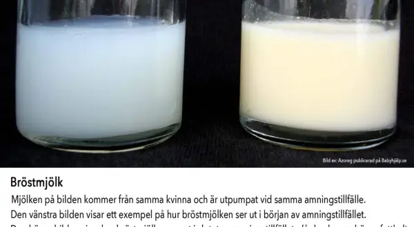 Två glas med bröstmjölk. Vänstra glaset visar mjölk i början av amningstillfället, högra glaset visar mjölk i slutet, rik på fett. Bra kosttillskott amning kan stödja detta.