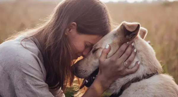 Tiefe **Bindung Hund Mensch**: Eine Frau umarmt ihren Hund innig in einem Feld. Ihre Köpfe berühren sich, ein Zeichen tiefer Verbundenheit.