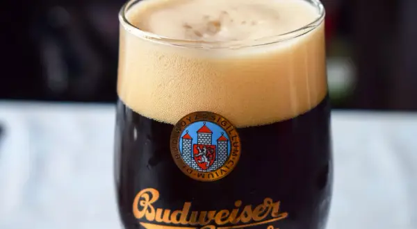 Gęsta piana na ciemnym piwie Budweiser Budvar, klasycznym piwie praskim.