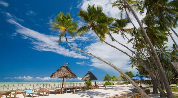 Rajski Zanzibar, palmy, biały piasek i turkusowa woda. Zastanawiasz się, ile się leci na Zanzibar? To podróż do raju!